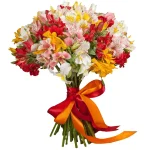 Альстромерии палитра красок