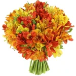 Альстромерии яркий микс