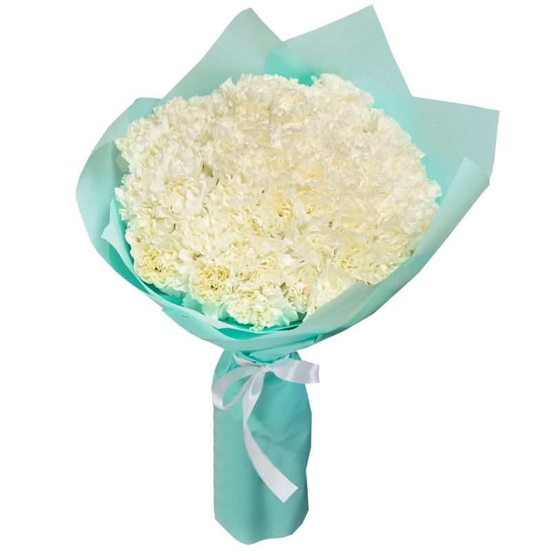 Букет из 51 белой гвоздики